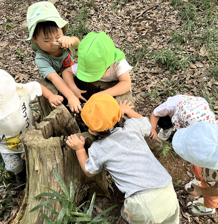 よく遊び、よく食べ、よく寝て、健康な子どもに!